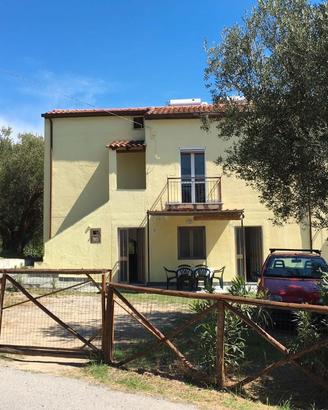 Casa tra gl ulivi vicino spiaggia palinuro