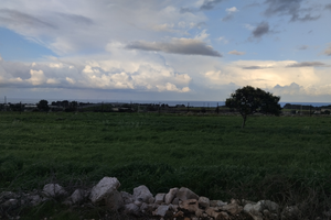 Terreno agricolo - C.da LE MACCHIE