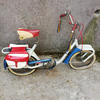 Graziella olmo legnano giordani