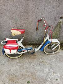 Graziella olmo legnano giordani