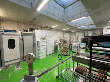 CAPANNONE A AZZANO SAN PAOLO