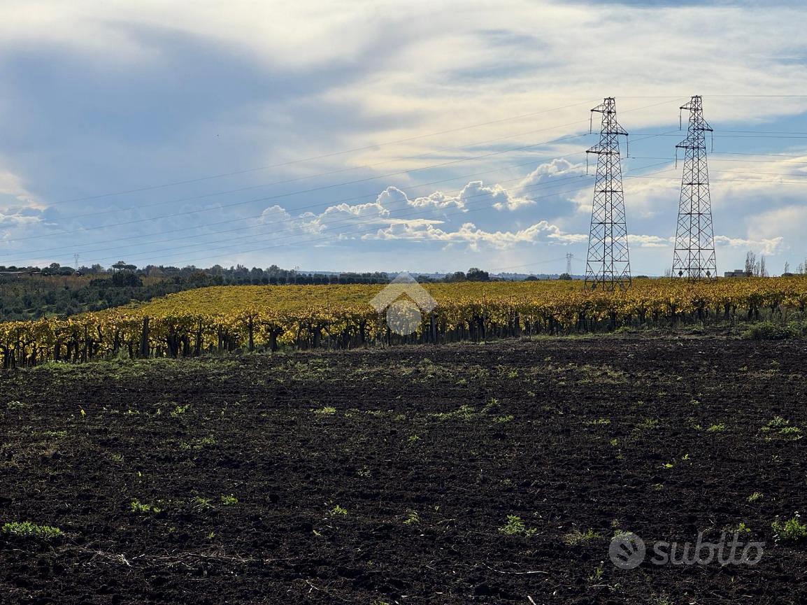 TER. AGRICOLO A ARDEA - Vista 3