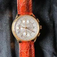 Orologio Philip Watch