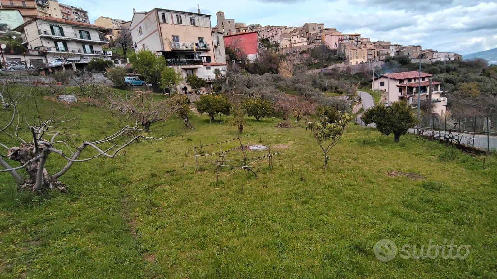 Ampio Terreno Edificabile Montalto Uffugo - Vista 4