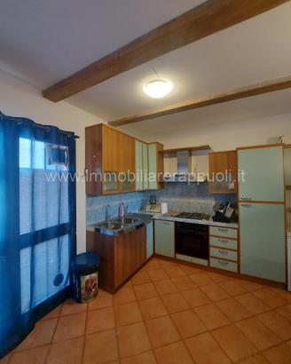 AP1228 - Sinalunga appartamento con ingres