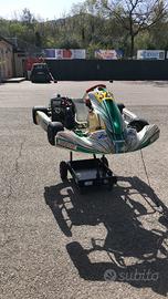 Kart tony 401RR con motore rotax senior monomarcia
