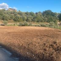 Terreno Agricolo fronte strada sito in Foglianise