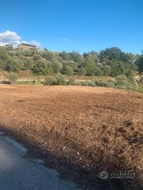 Terreno Agricolo fronte strada sito in Foglianise