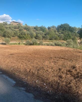 Terreno Agricolo fronte strada sito in Foglianise