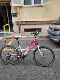bici lombardo 24"