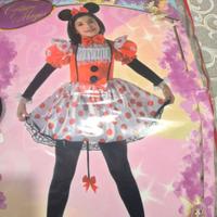 Vestito carnevale