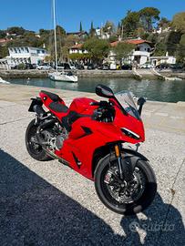 Ducati Panigale V2 2026 - Arrow - Patente A3