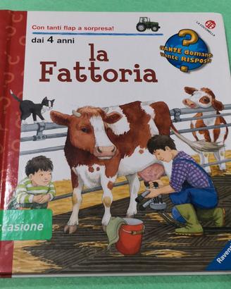 La Fattoria, Quante Domande Quante Risposte
