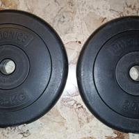 2 Dischi da 2,5 kg Physionics in Plastica Palestra