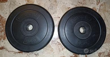 2 Dischi da 2,5 kg Physionics in Plastica Palestra