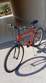 bicicletta mountain bike