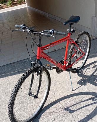 bicicletta mountain bike