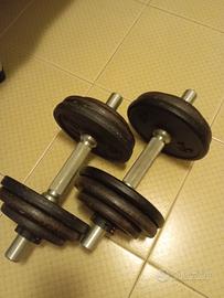manubri + 10 kg di peso
