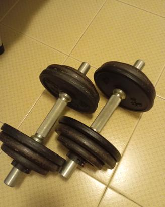 manubri + 10 kg di peso