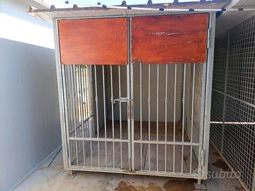 box cani da esterno 