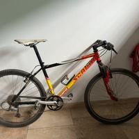 Bici da mountain bike