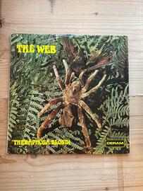 LP 33 Theraphosa Blondi the web