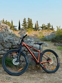 Mountain bike giant