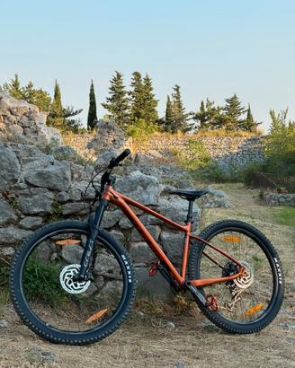 Mountain bike giant