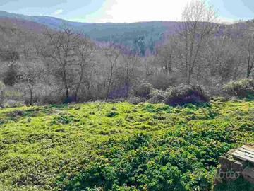 Immobile in asta di 34322 m² a Bucine