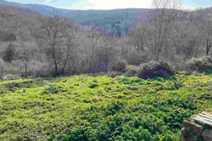Immobile in asta di 34322 m² a Bucine