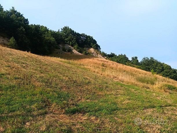 Rustico con terreno - Vista 3