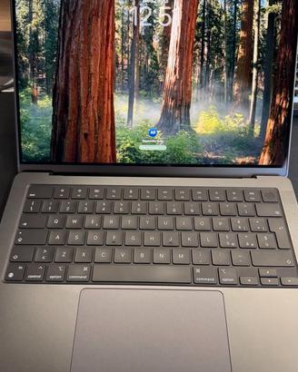 Macbook Pro M4 Max 14" 1Tb SSD 36GB RAM
