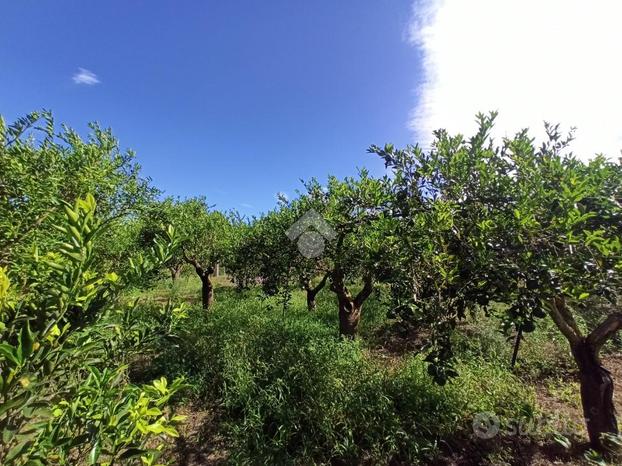 TER. AGRICOLO A PALERMO