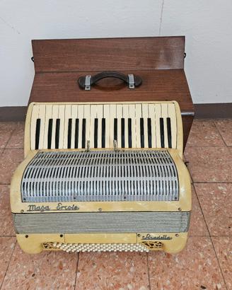 fisarmonica