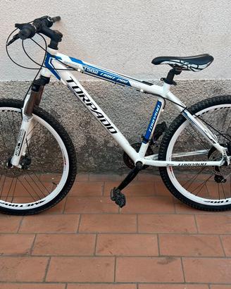 Mountain-bike