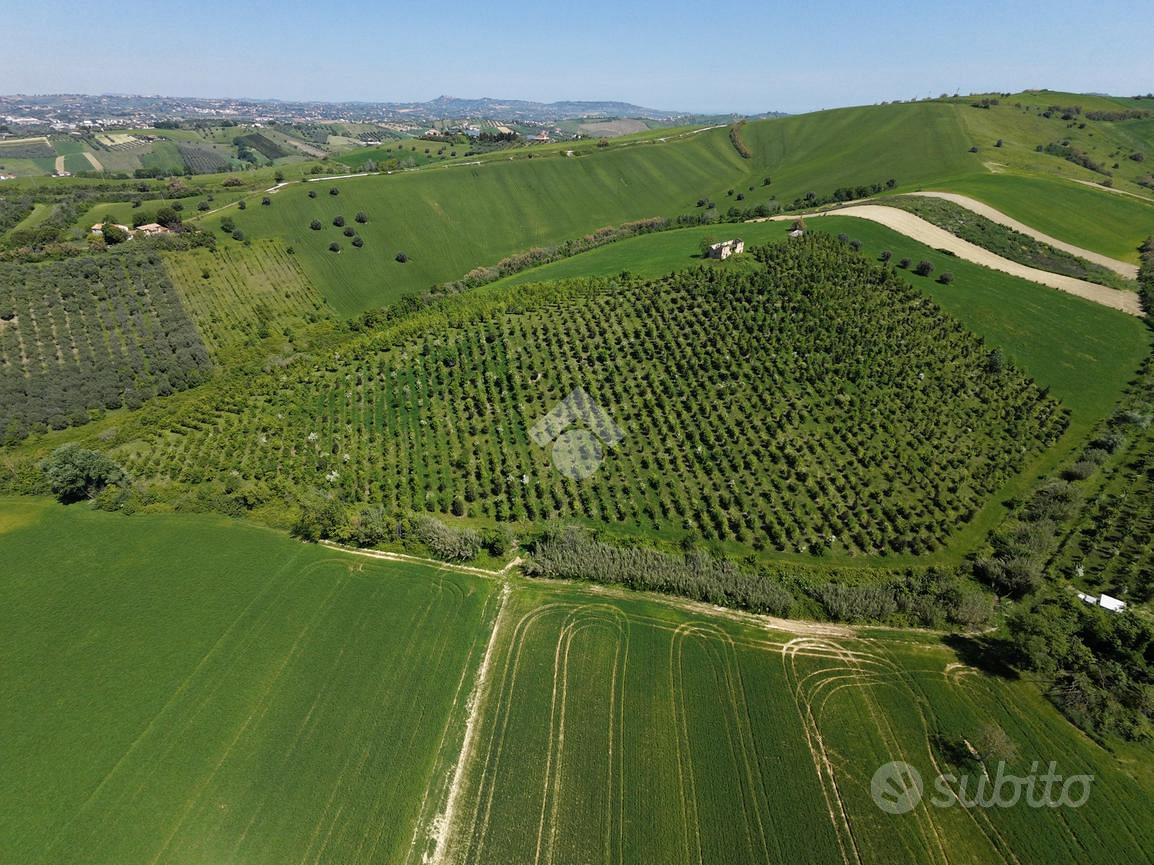 TER. AGRICOLO A SANT'OMERO - Vista 4