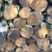 Legna per camini stufe e termicamini