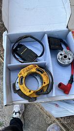 Accensione rotore interno malossi tem2