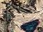 Immagine 1