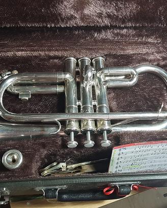 Flicorno sopranino Mib