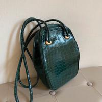 Borsa in coccodrillo De Vecchi by Hamilton Hodge