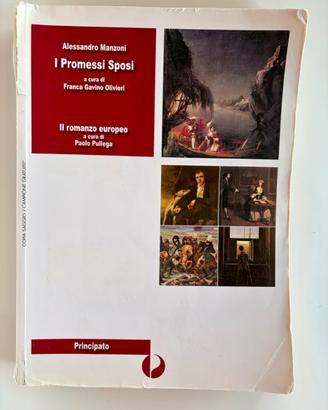 I Promessi Sposi. Il romanzo europeo