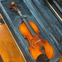 Violino primavera modello VF 050