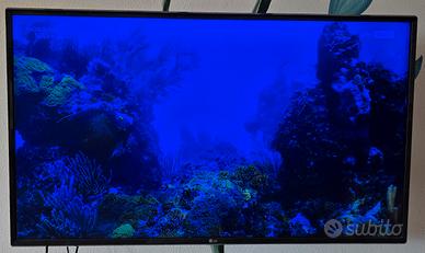 Tv LG 43 pollici 
