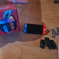 Nintendo switch olead
