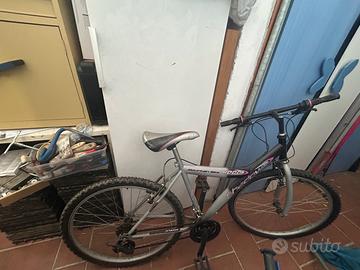 Bici adulto