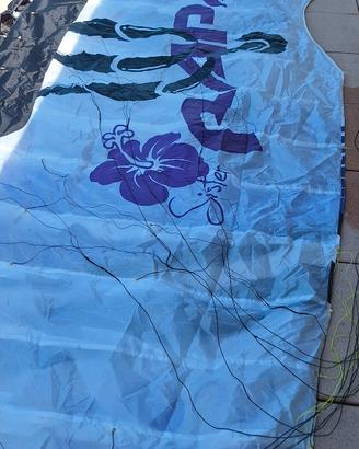 Kite foil Rapace 10mt