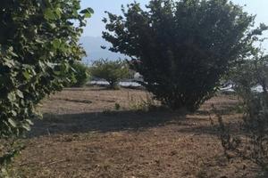 Terreno agricolo angri/scafati