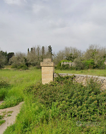 Terreno vicino al mare con piccolo rudere