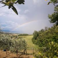Terreno Agricolo